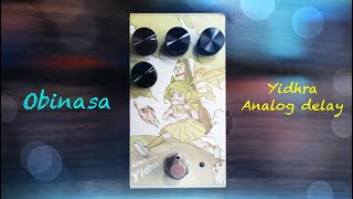 Obinasa Yidhra Analog Delay test by Jimmy Lin No Talking [upl. by Hyrup]