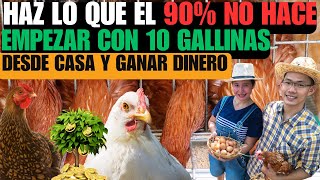 Cómo iniciar un pequeño negocio rentable criando 10 gallinas ponedoras [upl. by Iror]