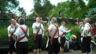 Bowes Park Community Picnic Chingford Morris Men [upl. by Enial]