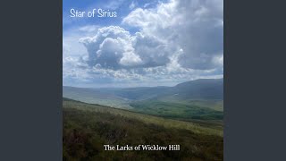 The Larks of Wicklow Hill [upl. by Choo]