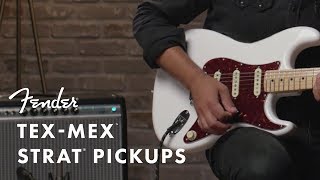 TexMex Pickups  Fender [upl. by Gilmore769]