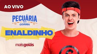 Pecuária de Goiânia 2024  Enaldinho AO VIVO [upl. by Leidgam951]