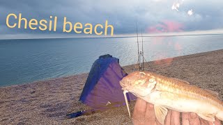 fishing chesil beach 2024 for the first time ever  sea fishing waymoth big beach fishing uk [upl. by Oicangi]