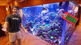 Touring 20 MILLION Dollar REEF AQUARIUM [upl. by Suollecram]