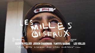 quotLES MILLES OISEAUXquot  Documentaire version officielle [upl. by Ainezey991]