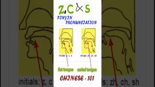 8 Alphabet in Chinese  HSK Chinese Tones  Mandarin Chinese Language  How to pronounce z c amp s [upl. by Marashio]