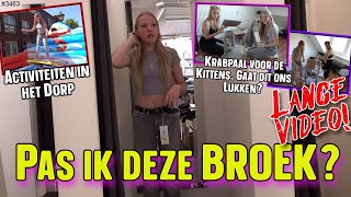 Shoppen voor een NIEUWE SPIJKERBROEK Voor de KITTENS een eigen KRABPAAL in elkaar zetten 3463 [upl. by Tiphane]