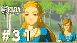 Zelda Breath Of The Wild  Captured Memories 31 [upl. by Hamrah]