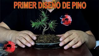 Cómo INICIAR un BONSAI DE PINO HALEPENSIS  PRIMER DISEÑO [upl. by Novelc]