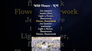 BTS RM wild flower song lyrics🌺🌺💜bts wildflower indigoalbum rm [upl. by Atteoj]