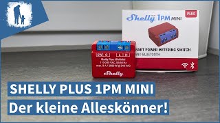 Shelly Plus 1PM Mini  ioBroker Installation amp Vergleich [upl. by Lavud440]