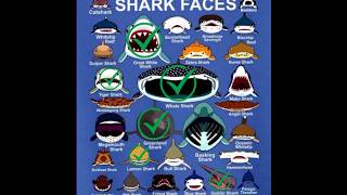 Shark 🦈 Types And Their Faces 🪞Bullhead Shark animal shark viralvideos science shorts [upl. by Anitel]