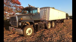 Hauling Corn with the Ford L9000 [upl. by Mir487]