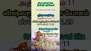 விட்டில் பூச்சிகள் போல இவர்களும் அழிகின்றனர் பகவத்கீதை 1129 They also perish like moths [upl. by Semmes]