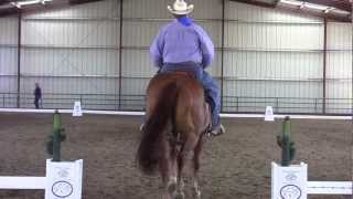 Cowboy Dressage Walk Jog Test  1 John Moe [upl. by Ecyle]