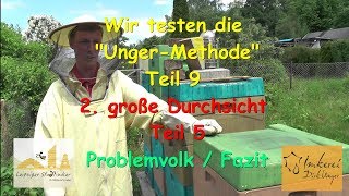 Wir testen die quotUngerMethodequot Teil 9  2 Große Durchsicht Teil 5 Problemvolk  Fazit [upl. by Grimbly]