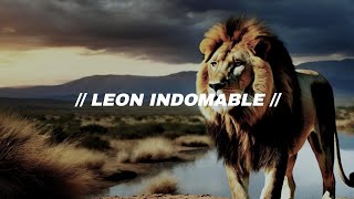 Leon indomable Letra [upl. by Misa212]