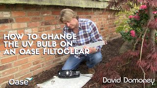 David Domoney How to change the UV Bulb on my Oase Filtoclear [upl. by Brande]