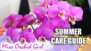 Phalaenopsis Orchids Summer Care  Detailed care guide for Orchid beginners [upl. by Iaoh]