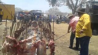 Lo mejor del llano venezolano carne en vara [upl. by Yrojram]