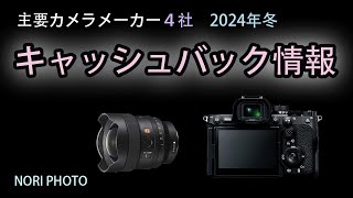 各カメラメーカーで冬のキャッシュバック真っ最中。各情報をまとめるとともに、個人的なお勧めをご紹介します。また、注意点や問題点などについてもお話します。 [upl. by Atiuqihs174]