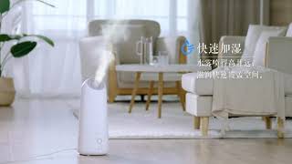 Bear Air Humidifier 5L JSQ C50R1 [upl. by Mandelbaum]