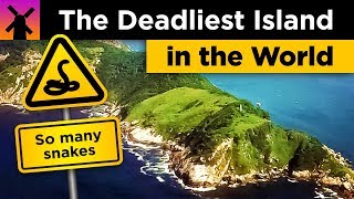 The Deadliest Island in the World Snake Island Explained [upl. by Candra]