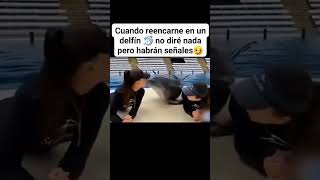 cuando reencarne en delfin no diré nada habrá señales reels viralvideos comedy comédia risas [upl. by Eynahpets721]