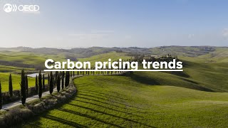 Carbon pricing trends 2021 [upl. by Ahseym]