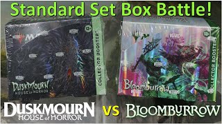 Epic Standard Set Box Battle  Duskmourn vs Bloomburrow Collector Booster Boxes w Pricing [upl. by Perrine]