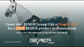 The BEMER HorseSet [upl. by Ayortal]