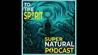 S2Ep30 Energy amp Crystal Healing with Vivien Schapera [upl. by Aruon153]