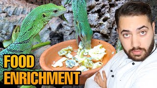 Feeding my Green Tree Monitors Varanus prasinus Gourmet Food [upl. by Wrigley830]