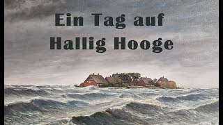 Ein Tag auf Hallig Hooge [upl. by Oisor]