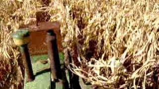 John Deere 620 tractor with a mounted 227 corn picker picking corn [upl. by Stretch852]