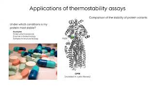 A brief introduction to nanoscale differential scanning fluorimetry nanoDSF [upl. by Lalat]