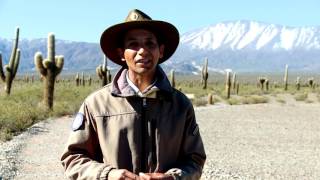 PARQUE NACIONAL LOS CARDONES  SALTA [upl. by Anavi]