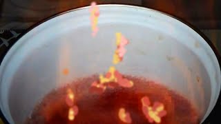 Fiery wine syrup Сake syrup Simple Syrup Recipe Cake Syrup Recipe How to make cake syrup [upl. by Soloma]