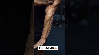 Insane 2 week vein progress with the gripster😲⚠️forearmstrength exercise transformation [upl. by Seldon]