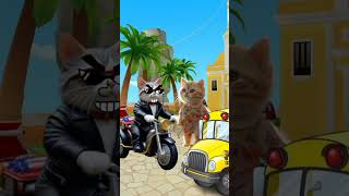 a real honking reply cat cute catfriends trendingshorts [upl. by Schouten]