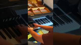 EMINEM ft Dido  Stan Benedikt Waldheuer Piano Cover music piano cover eminem stan [upl. by Bobbie]