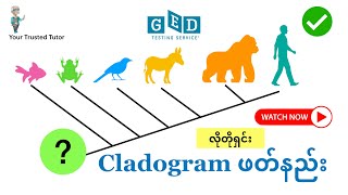 How To Read A Cladogram for GED Science Including the Bonus Part in the Second Part of The Video [upl. by Einnek]