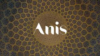 Anis  A Story from Bahai History [upl. by Yelrac855]