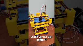 Cheap CoreXY 3D Printer [upl. by Cullan79]