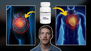 Turkesterone  Side Effects To Look Out For [upl. by Levania130]