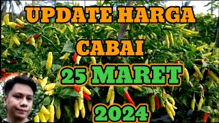 Harga Cabe Rawit Hari Ini 25 Maret 2024 di Pasar Induk Pare Kediri Jawa Timur [upl. by Carla]