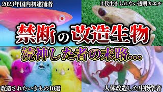 【閲覧注意】遺伝子操作で国内初逮捕者改造生物10選と驕った人間の末路 [upl. by Vesta324]