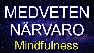 MINDFULNESS  Medveten närvaro bli närvarande i nuet [upl. by Aseretairam7]