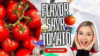 How the Flavor Savr Tomato Transformed the Taste of Tomatoes  Genetically modified tomatoes [upl. by Assilaj]