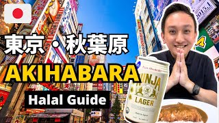 TOKYO AKIHABARA Halal Travel Guide  Eating Halal chicken cutlet curry rice with Halal lager [upl. by Aihk204]